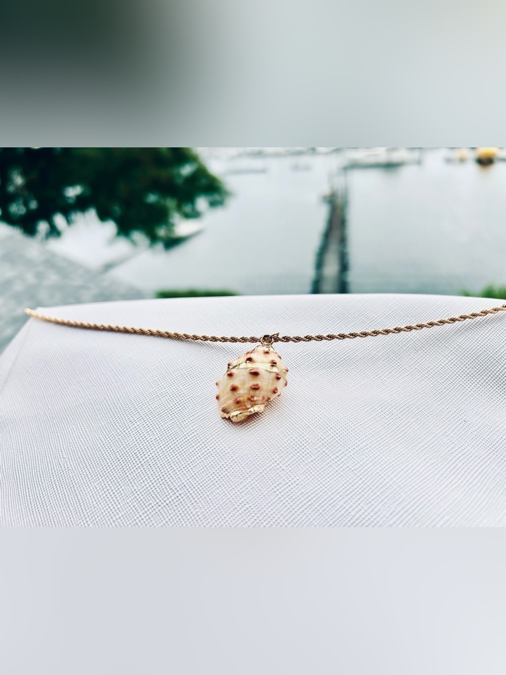 NWT Seashell Pendant Gold trim Necklace - Gold Chain with Cream & Pink Shell